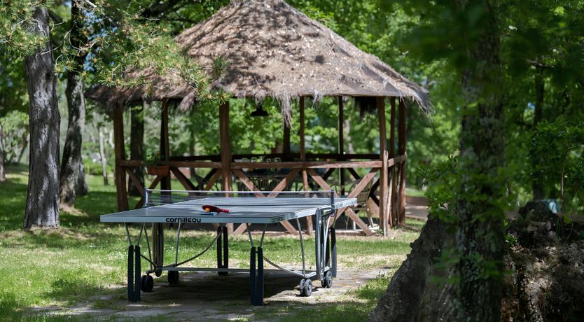 Photo of The Daisy Cutter