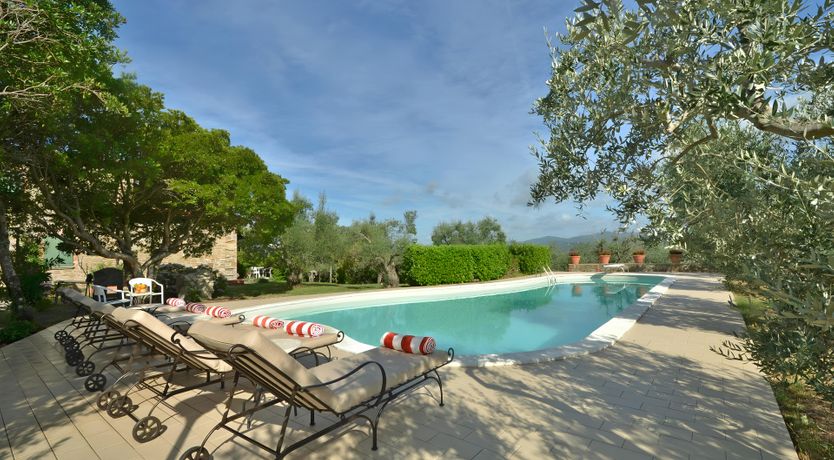 Photo of The Daisy Cutter