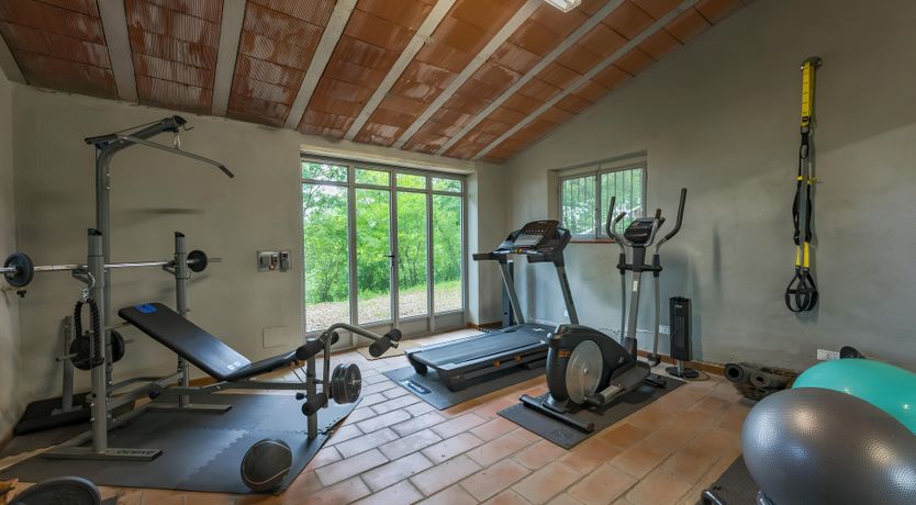 Photo of The Daisy Cutter