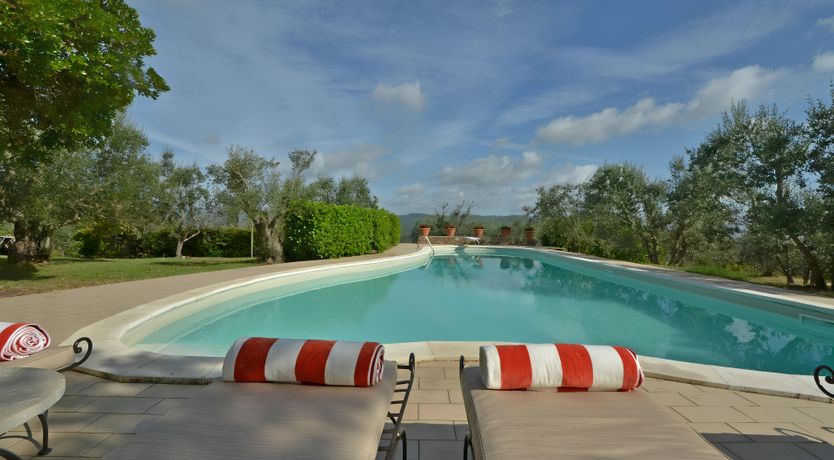 Photo of The Daisy Cutter