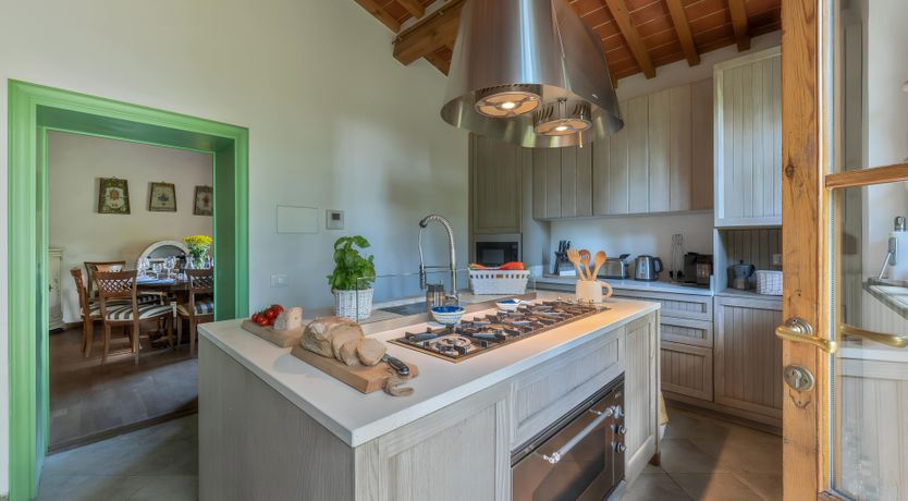 Photo of The Daisy Cutter