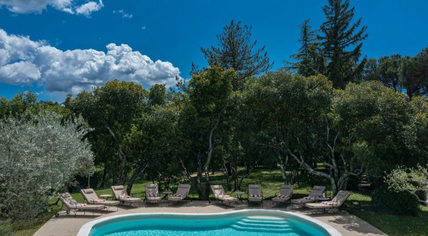 Photo of The Daisy Cutter