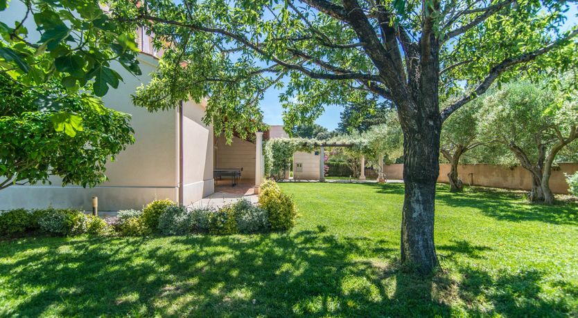 Photo of Dalmatia Days