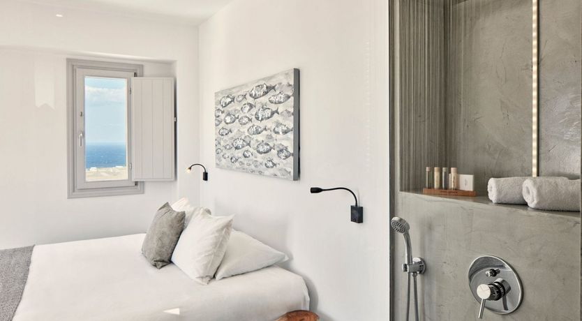 Photo of The Flower of Oia