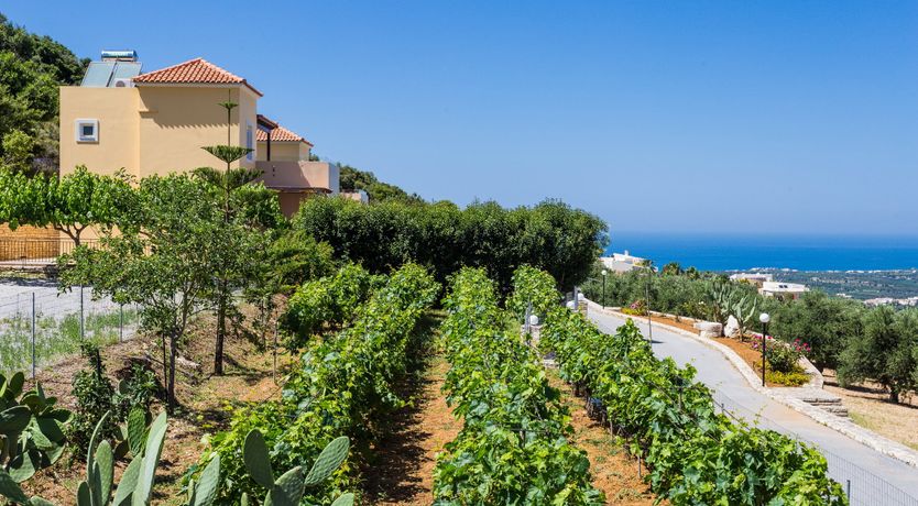 Photo of Divine Youth