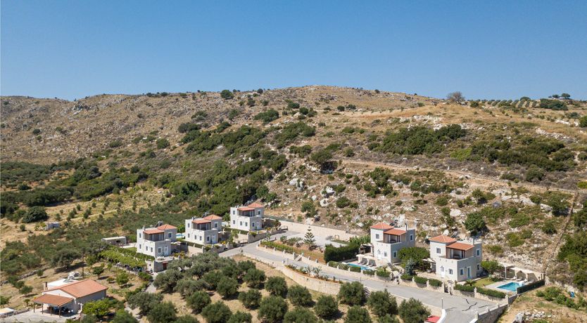 Photo of Divine Youth