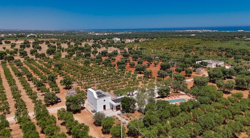 Photo of Saffron & Rosemary