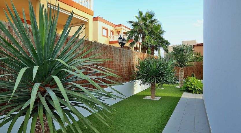 Photo of Balearic Flower