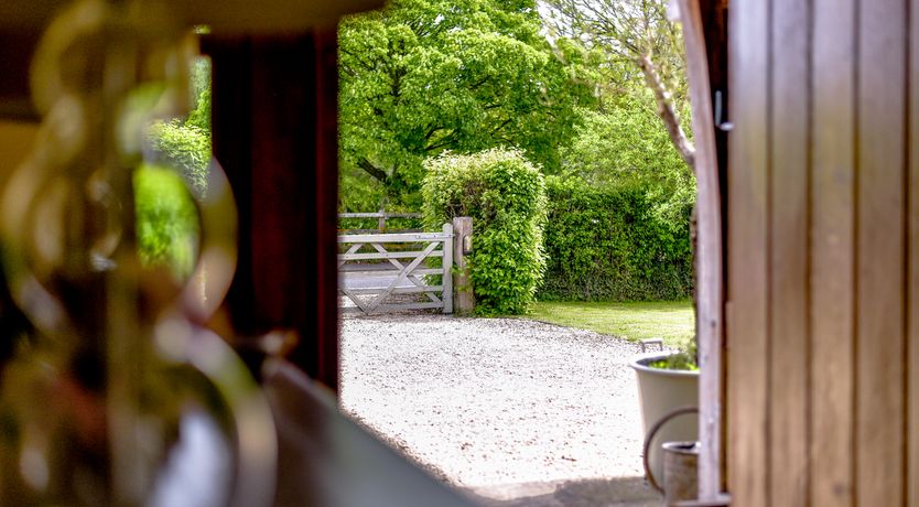 Photo of Farmyard Fantasia