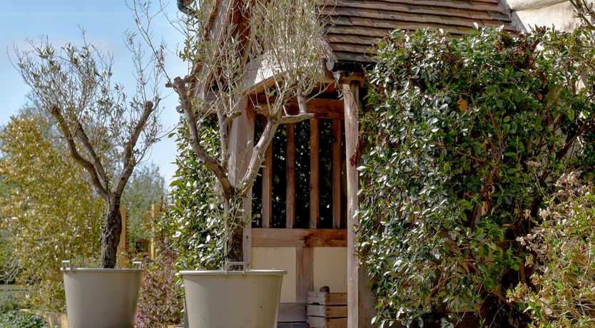 Photo of Farmyard Fantasia