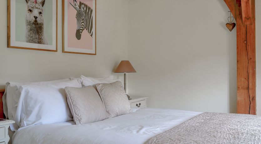 Photo of Farmyard Fantasia