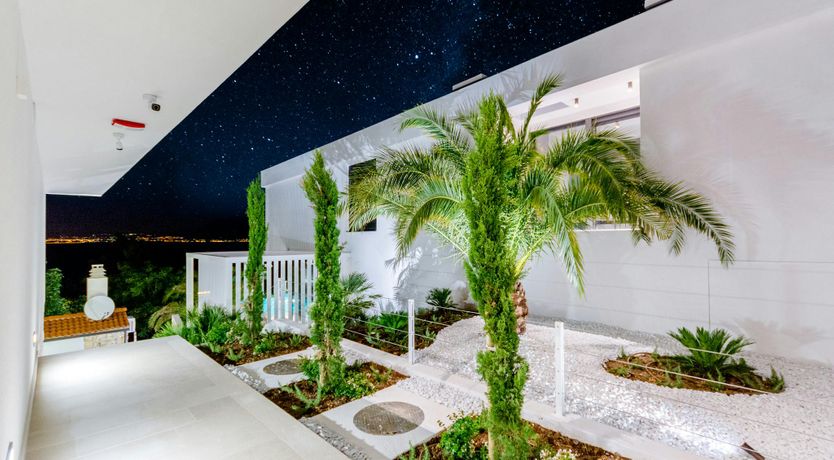 Photo of The Island Artist