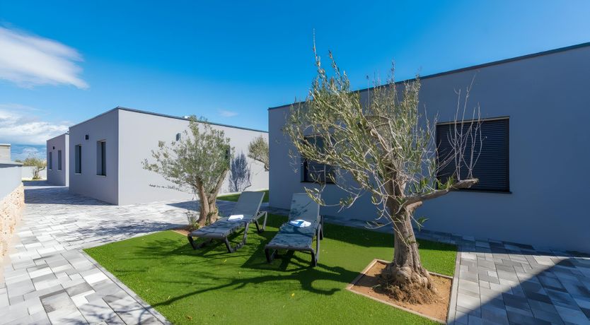 Photo of Mountain Miracle