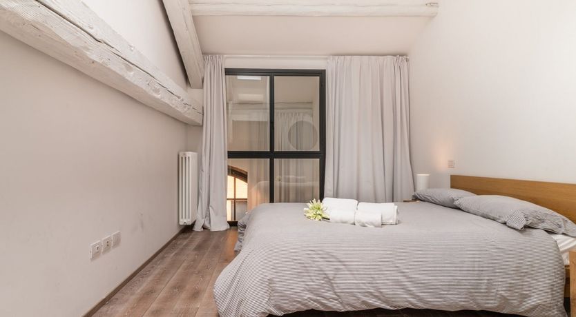 Photo of Venetian Wisteria