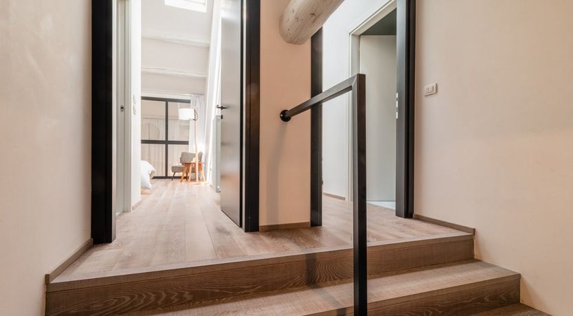 Photo of Venetian Wisteria