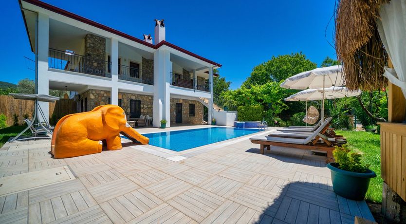 Photo of A Rare Elephant