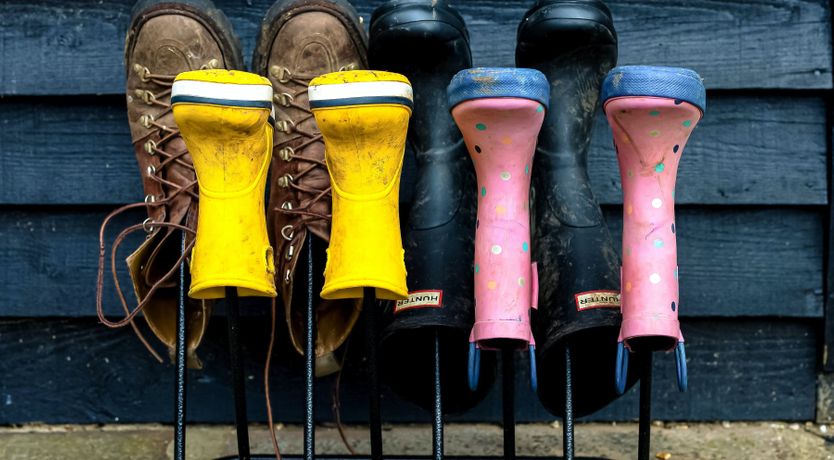 Photo of Meadows & Stables