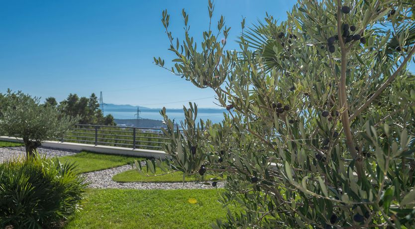 Photo of Summer Waltz