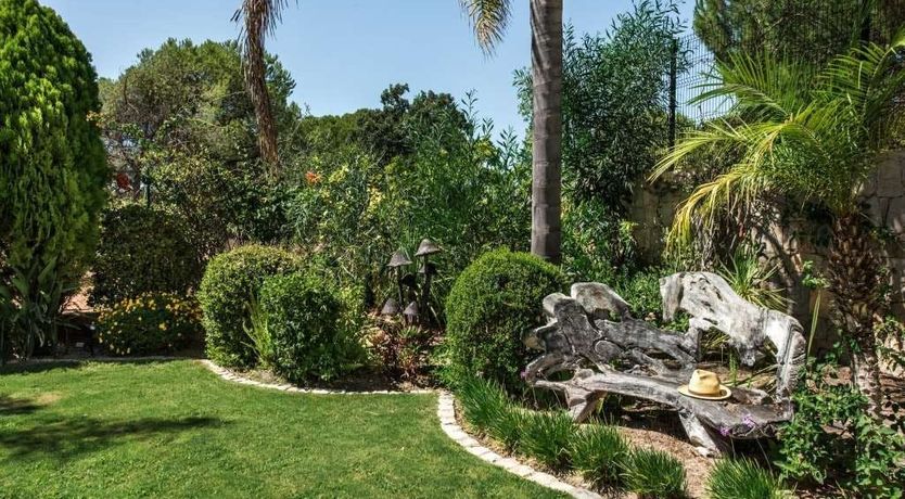 Photo of A Garden Vision