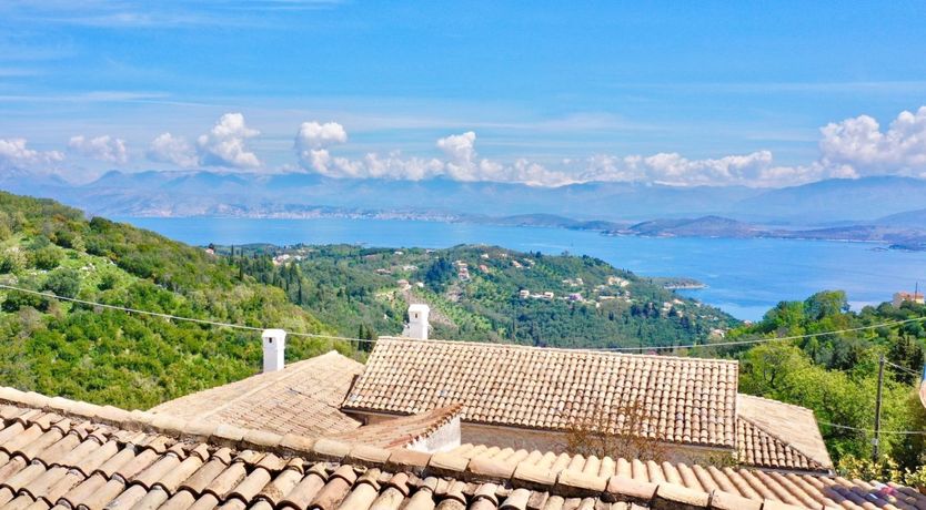 Photo of Wild Dandelion