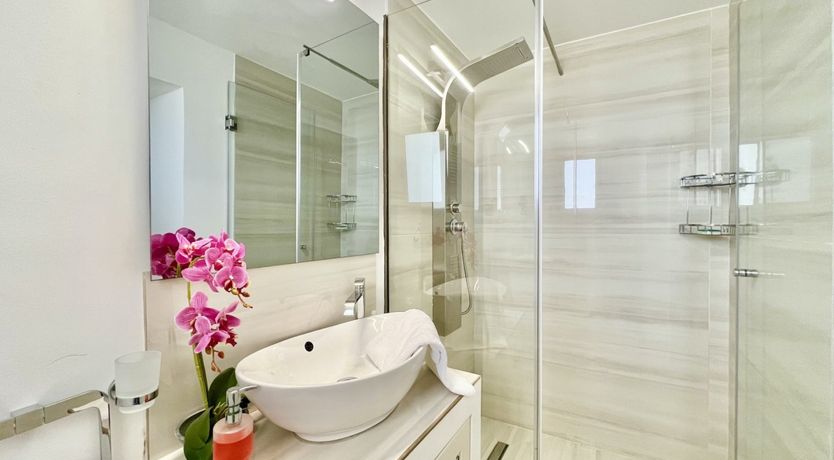 Photo of Wild Dandelion