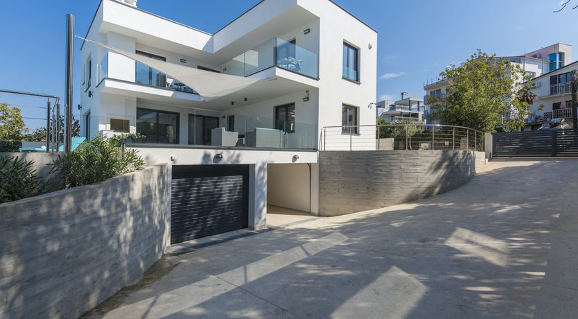 Photo of Forest of Glory