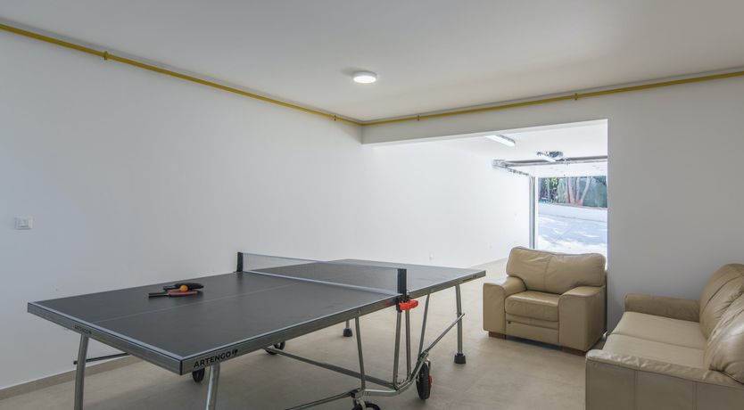 Photo of Forest of Glory