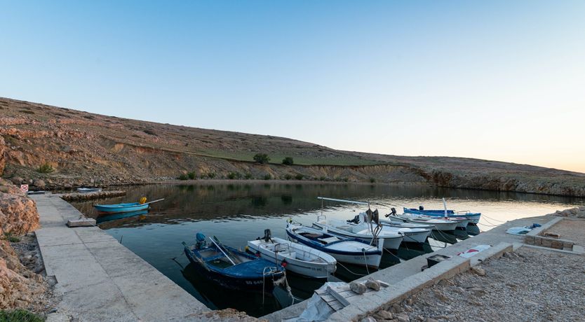 Photo of The Stone Horizon