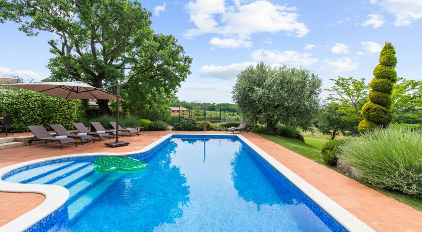 Photo of The Bohemian Flair