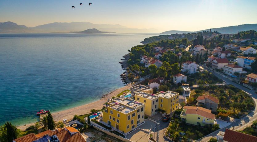 Photo of Dalmatian Gem