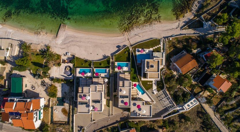 Photo of Dalmatian Gem