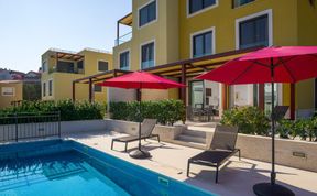 Photo of Dalmatian Gem