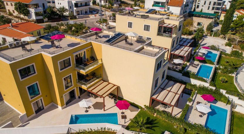 Photo of Dalmatian Gem