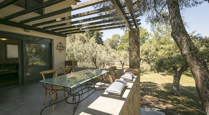 Photo of Forces of Nature