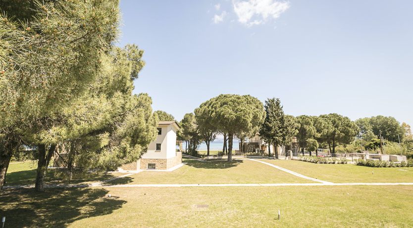 Photo of Forces of Nature