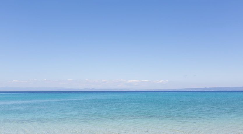 Photo of Forces of Nature