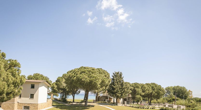 Photo of Forces of Nature