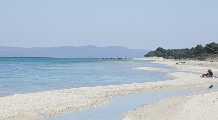 Photo of Forces of Nature