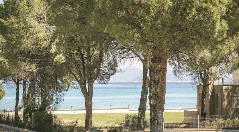 Photo of Forces of Nature