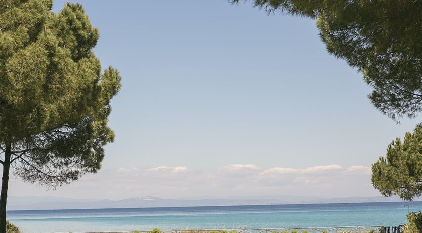 Photo of Forces of Nature