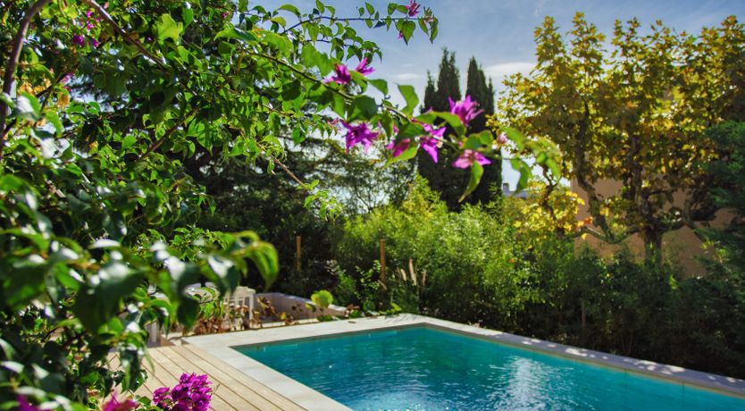 Photo of Sun Dreaming