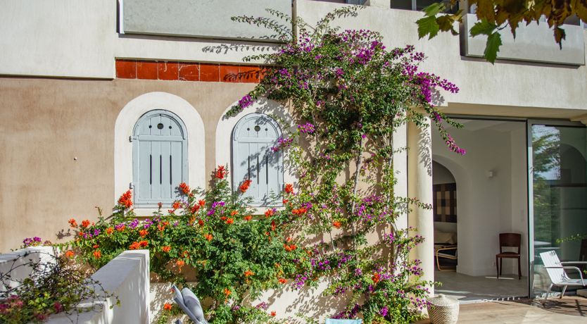 Photo of Sun Dreaming