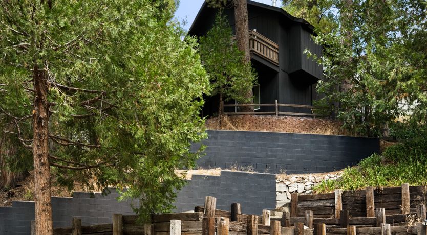 Photo of Forest of Peace