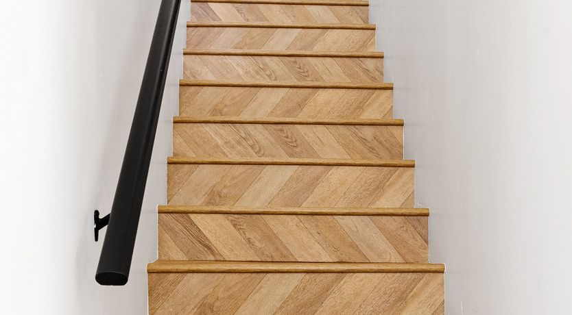 Photo of Forest of Peace