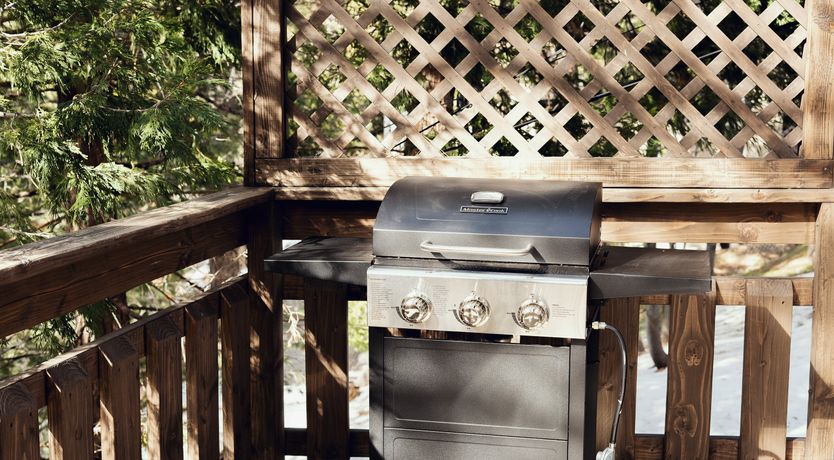 Photo of Forest of Peace