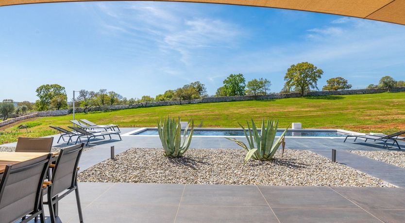 Photo of Nymphs of the Hills