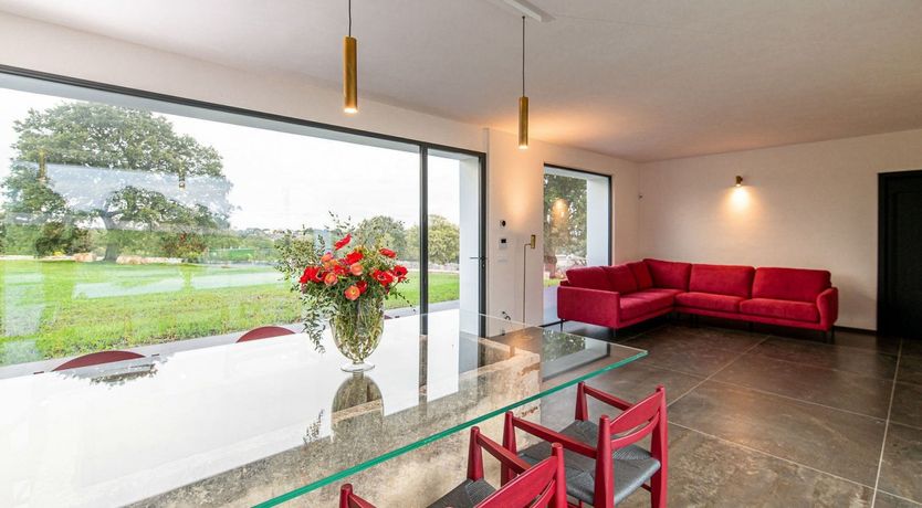 Photo of Nymphs of the Hills