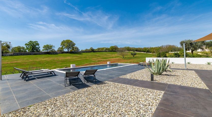 Photo of Nymphs of the Hills