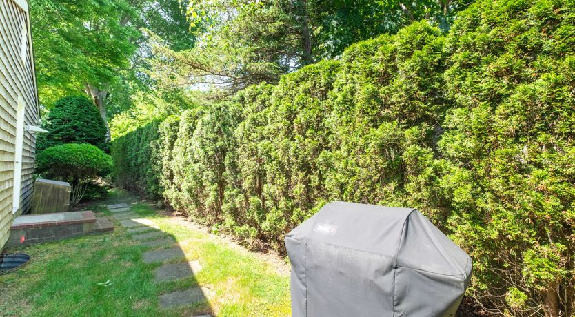 Photo of Hamptons Dreams