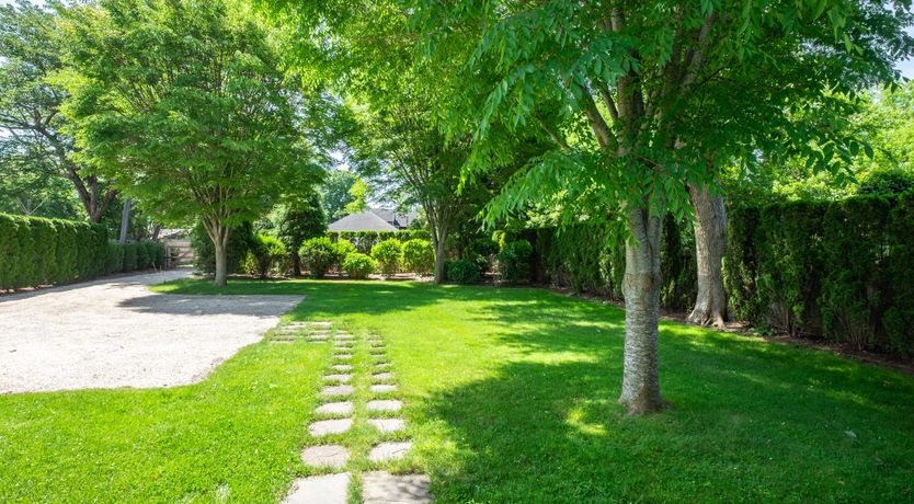 Photo of Hamptons Dreams